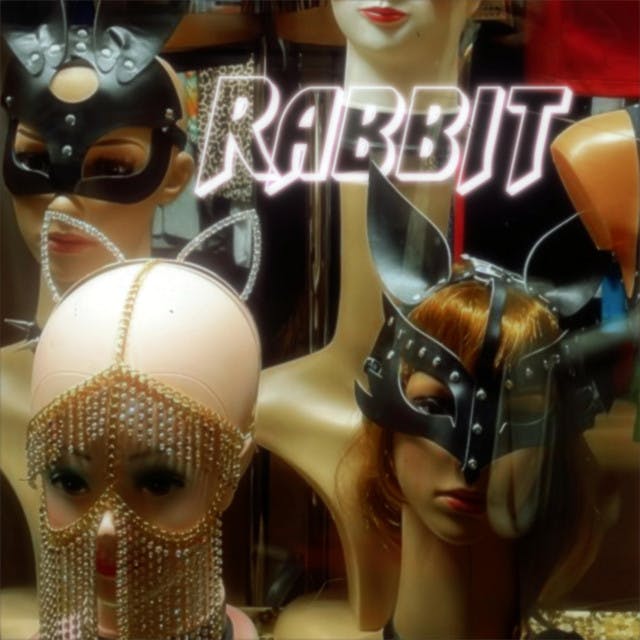 Rabbit cover art